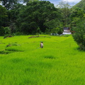 IMGP2444
